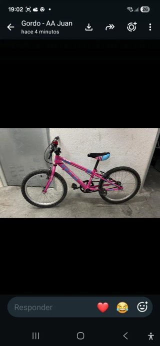 Bicicleta infantil rosa rodado 22"