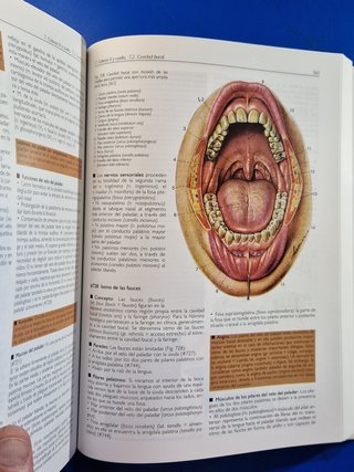 ANATOMÍA. Estructura y Morfología del Cuerpo Human