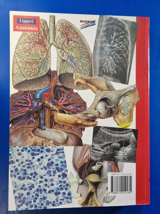 ANATOMÍA. Estructura y Morfología del Cuerpo Human