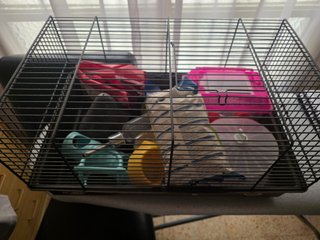 Jaula Hamster/Cobaya Completa