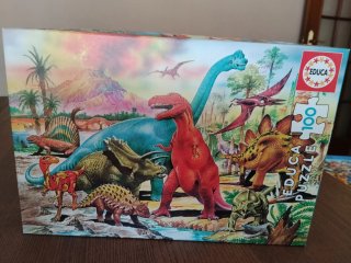 Puzzles variados.