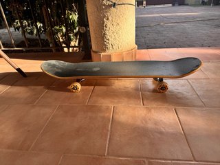 Skate Fortune
