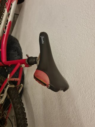 Bicicleta Globetrotter roja