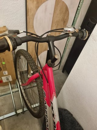 Bicicleta Globetrotter roja