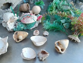 Lote decoración acuario: barco, plantas y más