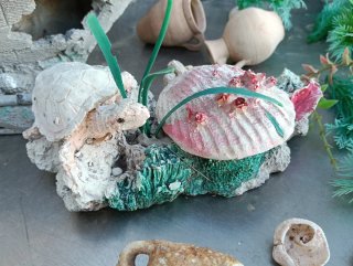 Lote decoración acuario: barco, plantas y más