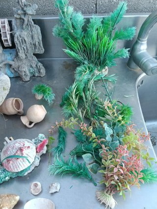 Lote decoración acuario: barco, plantas y más