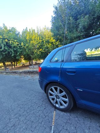 Caña de pescar cola de rata