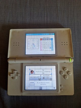 Nintendo DS Blanca