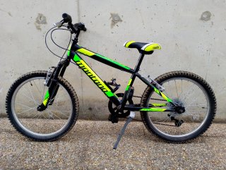 Bicicleta Infantil 20 Pulgadas