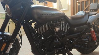 Harley Davidson Street Rod 750 Grigia