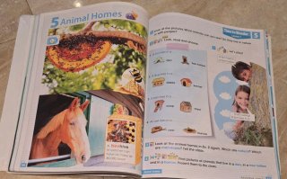 NEW I WONDER LEVEL 3 PUPIL'S BOOK