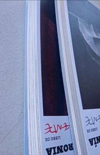 Boronia Libros de Enrique Morente 1 y 2.