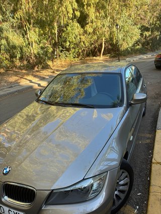 BMW Serie 3 2010