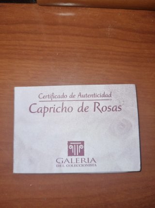 Conjunto Joyería Plata Bañada Oro Rosas