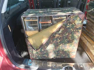 Transportín para pájaros con 8 jaulas