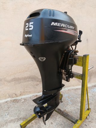 Motor fueraborda Mercury
