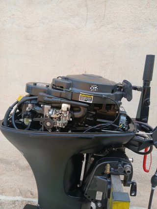 Motor fueraborda Mercury