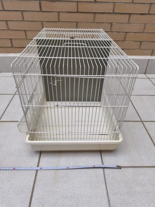 Jaula para pájaros - Canarios, Agapornis