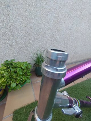 Cuadro Vitus 797 Horquilla Columbus Genius T.54
