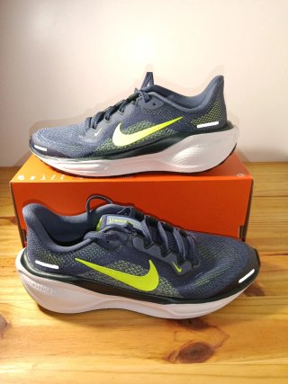 Zapatillas Nike Air Zoom Pegasus 41 GS
