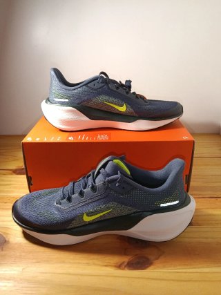 Zapatillas Nike Air Zoom Pegasus 41 GS