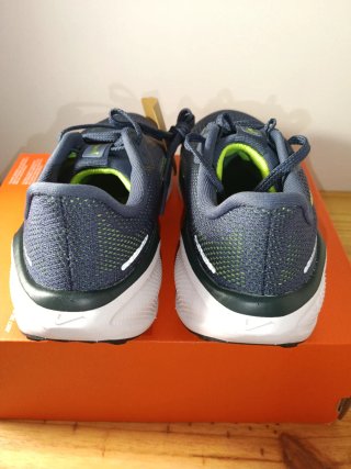 Zapatillas Nike Air Zoom Pegasus 41 GS