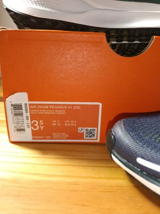 Zapatillas Nike Air Zoom Pegasus 41 GS
