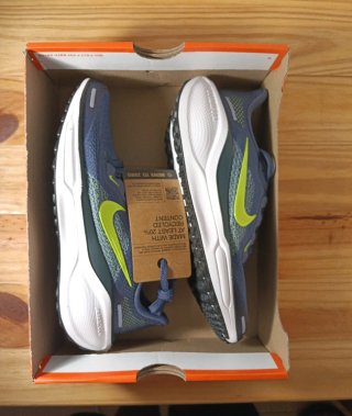 Zapatillas Nike Air Zoom Pegasus 41 GS