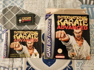 International karate advanced
