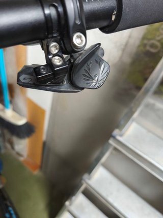 Mondraker Level R