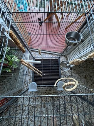 Jaula grande para pájaro o loro