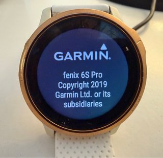Garmin Fenix 6S Pro Rose Gold/Blanco