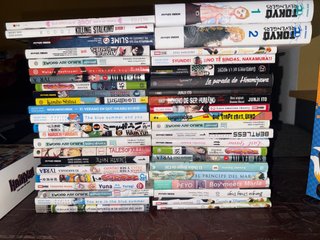 Lote de mangas