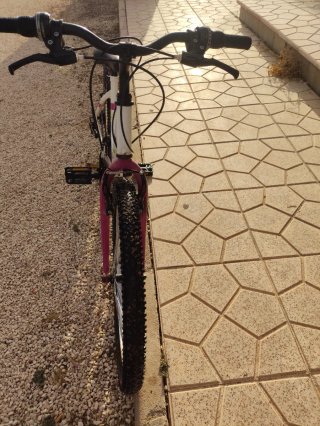 Bicicleta 24 Denbike City
