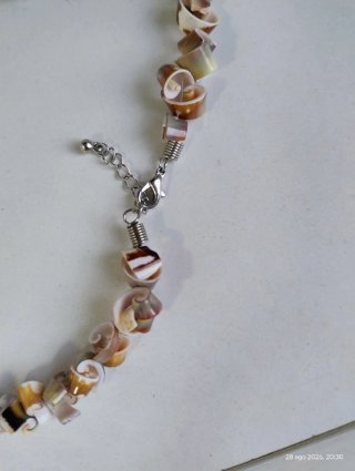 Collar de conchas