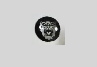 2 Logos Jaguar Llave Mando X S Type XJ8