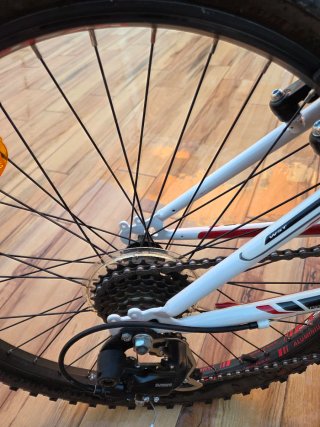 Bicicleta de Montaña WST