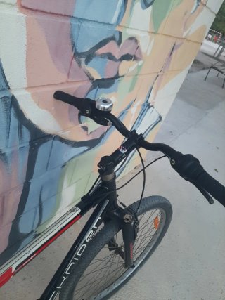 Bicicleta Rockrider Gorila