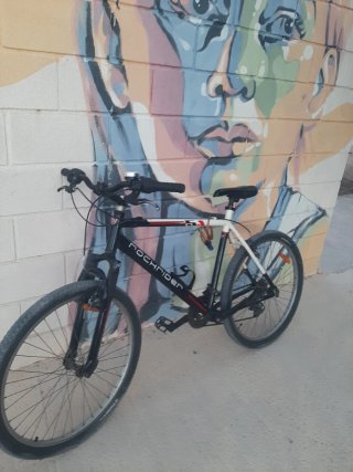 Bicicleta Rockrider Gorila