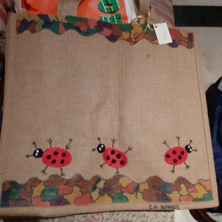 Bolso de playa con mariquitas pintadas