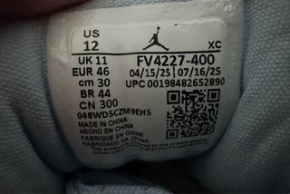 Air Jordan 1 Low Element Gore-Tex Glacier