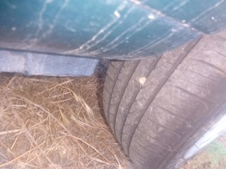 Despiece Renault Clio 2