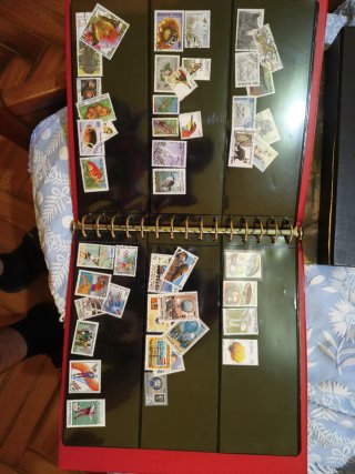 Colección de sellos y estampillas