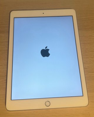 iPad 6ª Gen + Apple Pencil Argento