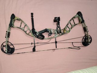 Arco Hoyt de poleas en camuflaje