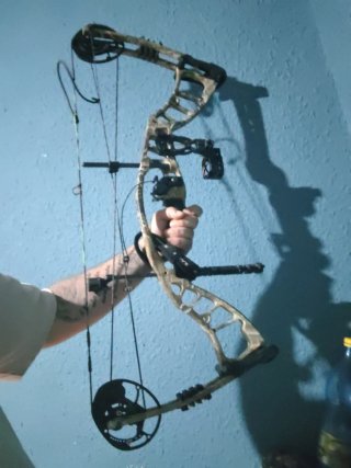 Arco Hoyt de poleas en camuflaje