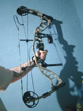 Arco Hoyt de poleas en camuflaje