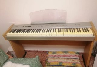 Teclado Eléctrico Ringway PDP220