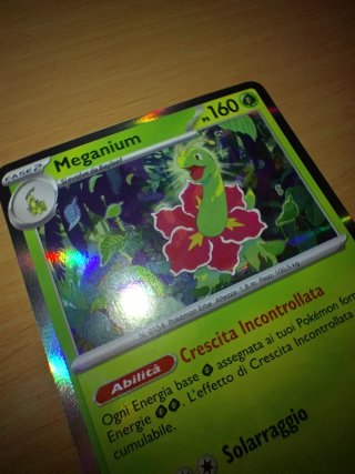 Carta Pokémon Meganium Holo Rara 010/132